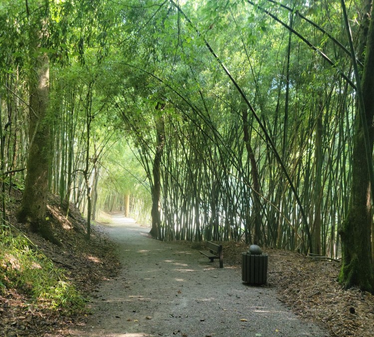 Wilderness Park/Bamboo Forest (Prattville,&nbspAL)